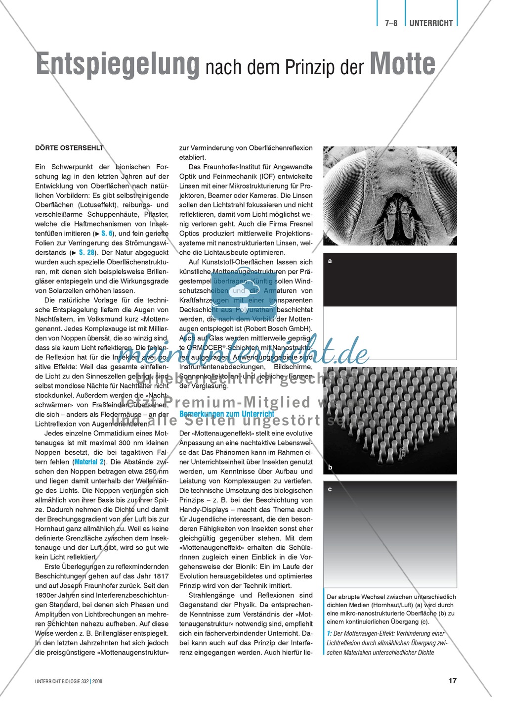 Bionik: Entspiegelung nach dem Prinzip der Motte - Info-Text und Aufgaben Preview 1
