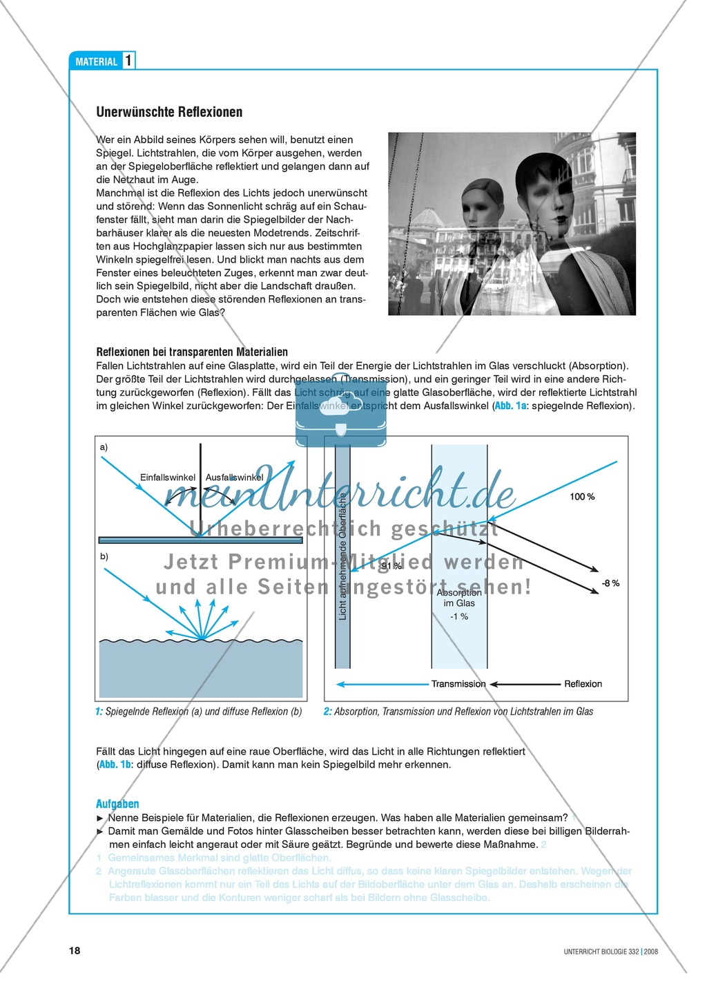 Bionik: Entspiegelung nach dem Prinzip der Motte - Info-Text und Aufgaben Preview 2