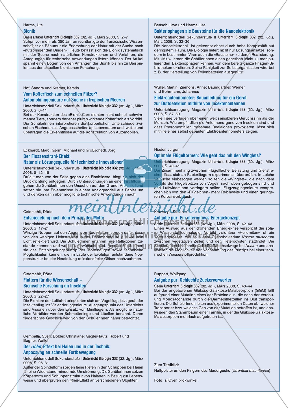 Bionik: Entspiegelung nach dem Prinzip der Motte - Info-Text und Aufgaben Preview 6