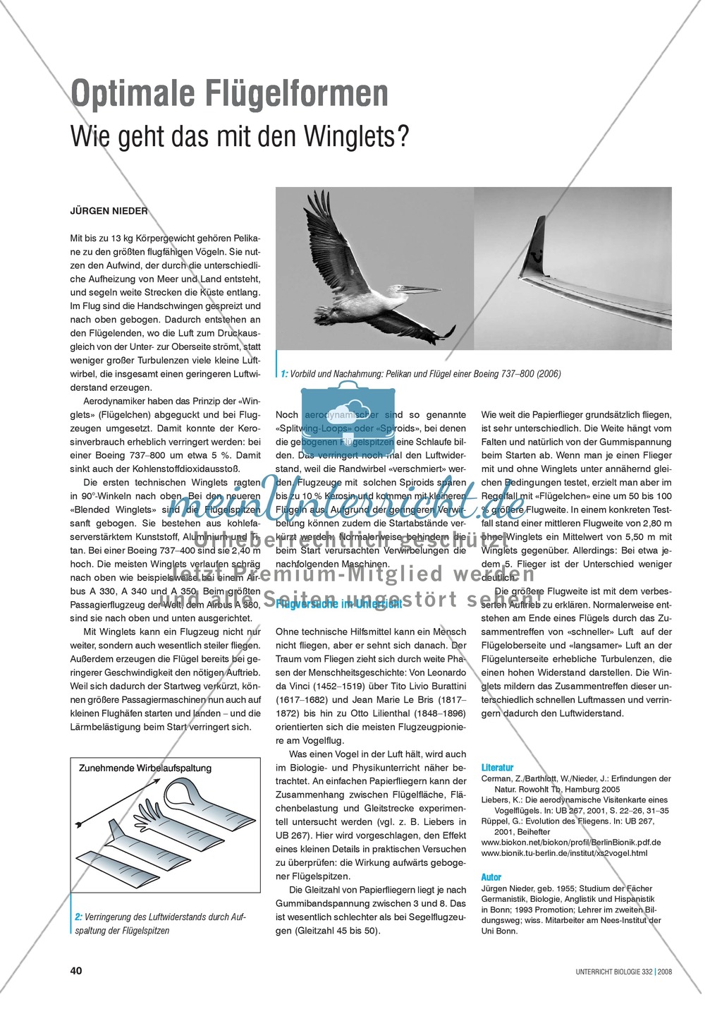 Bionik: Optimale Flügelformen - Wie geht das mit den Winglets? Info-Text und Aufgaben Preview 1