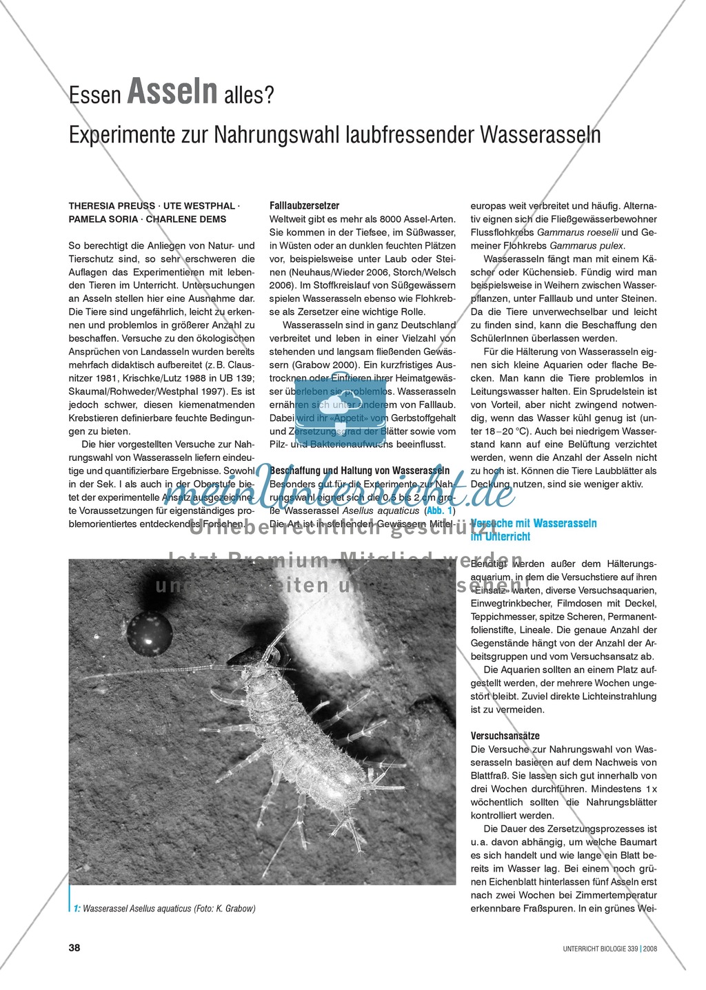 Asseln: Experimente zur Nahrungswahl laubfressender Wasserasseln Preview 1