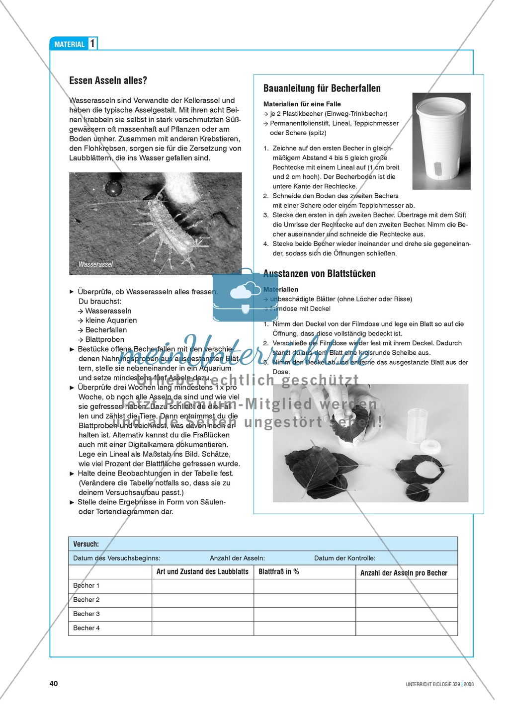 Asseln: Experimente zur Nahrungswahl laubfressender Wasserasseln Preview 3