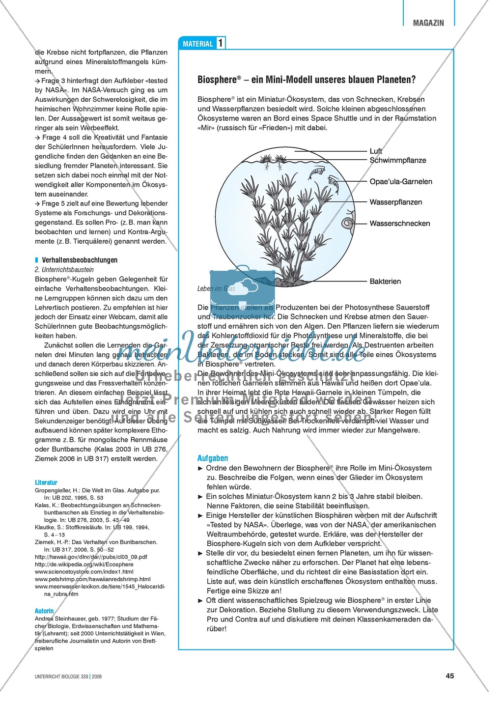 Krebse: Biosphere/Beachworld - Mini-Ökosysteme im Glas Preview 2