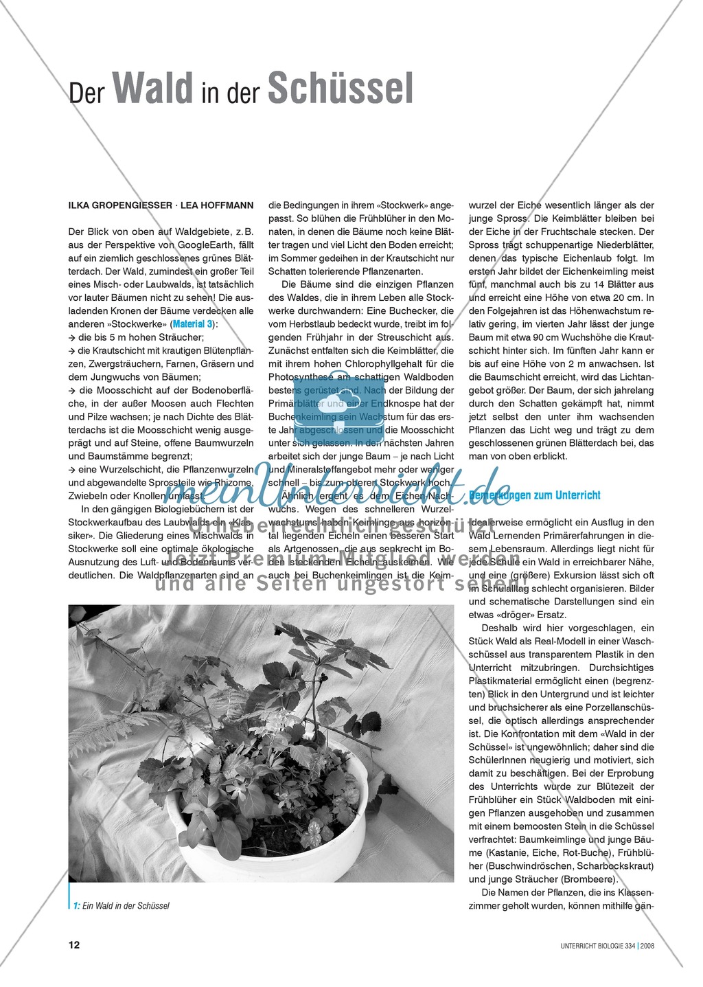 Der Wald in der Schüssel - Wachstum von Bäumen und die Stockwerke des Waldes - Info-Text und Aufgaben Preview 1