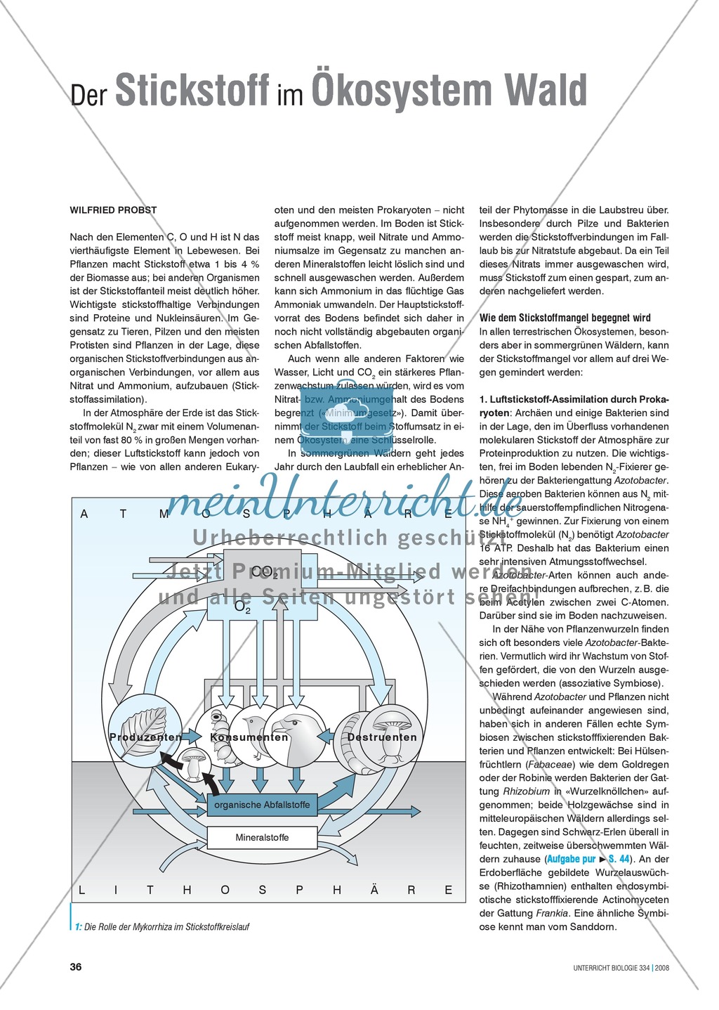 Der Stickstoff im Ökosystem Wald - Info-Text und Aufgaben Preview 1
