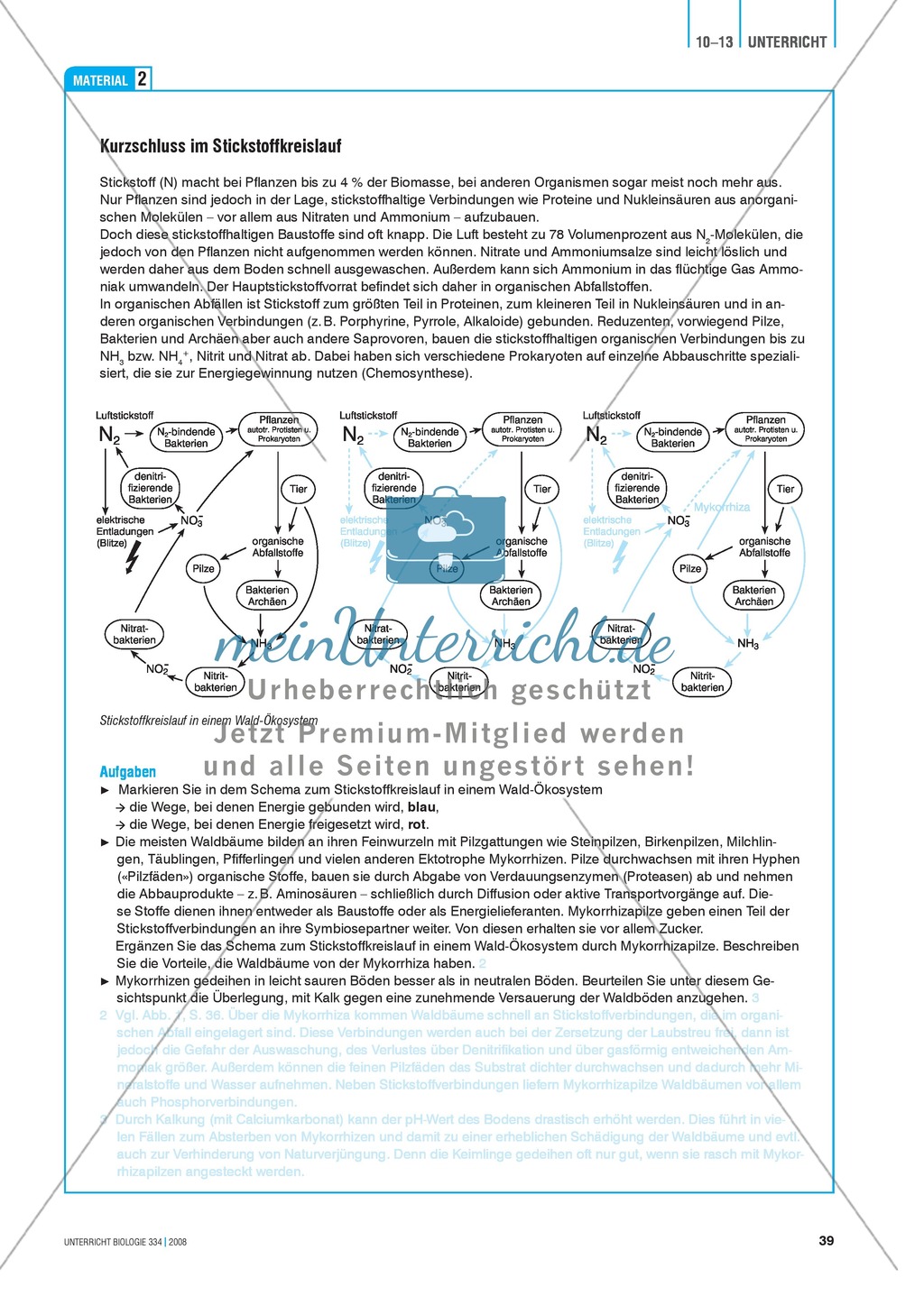 Der Stickstoff im Ökosystem Wald - Info-Text und Aufgaben Preview 4