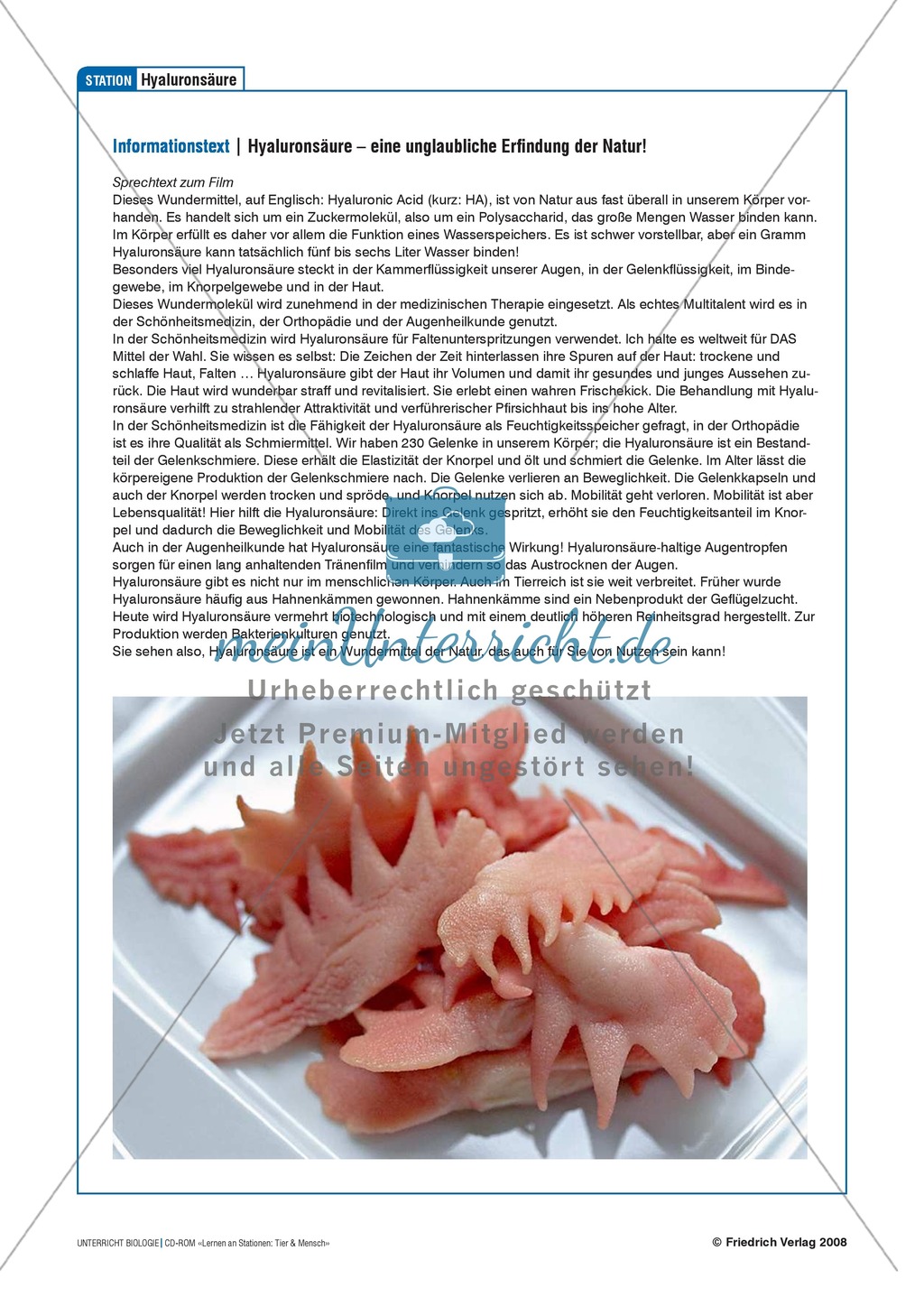 Tier und Mensch: Tierprodukte in Arzneimitteln Preview 13