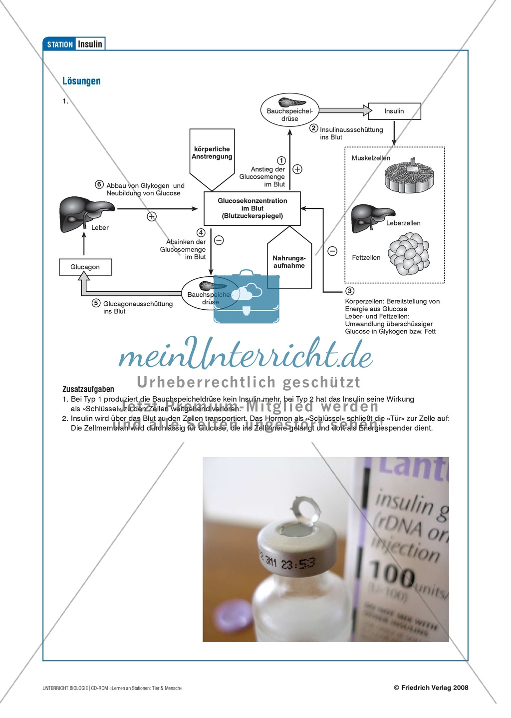 Tier und Mensch: Tierprodukte in Arzneimitteln Preview 20