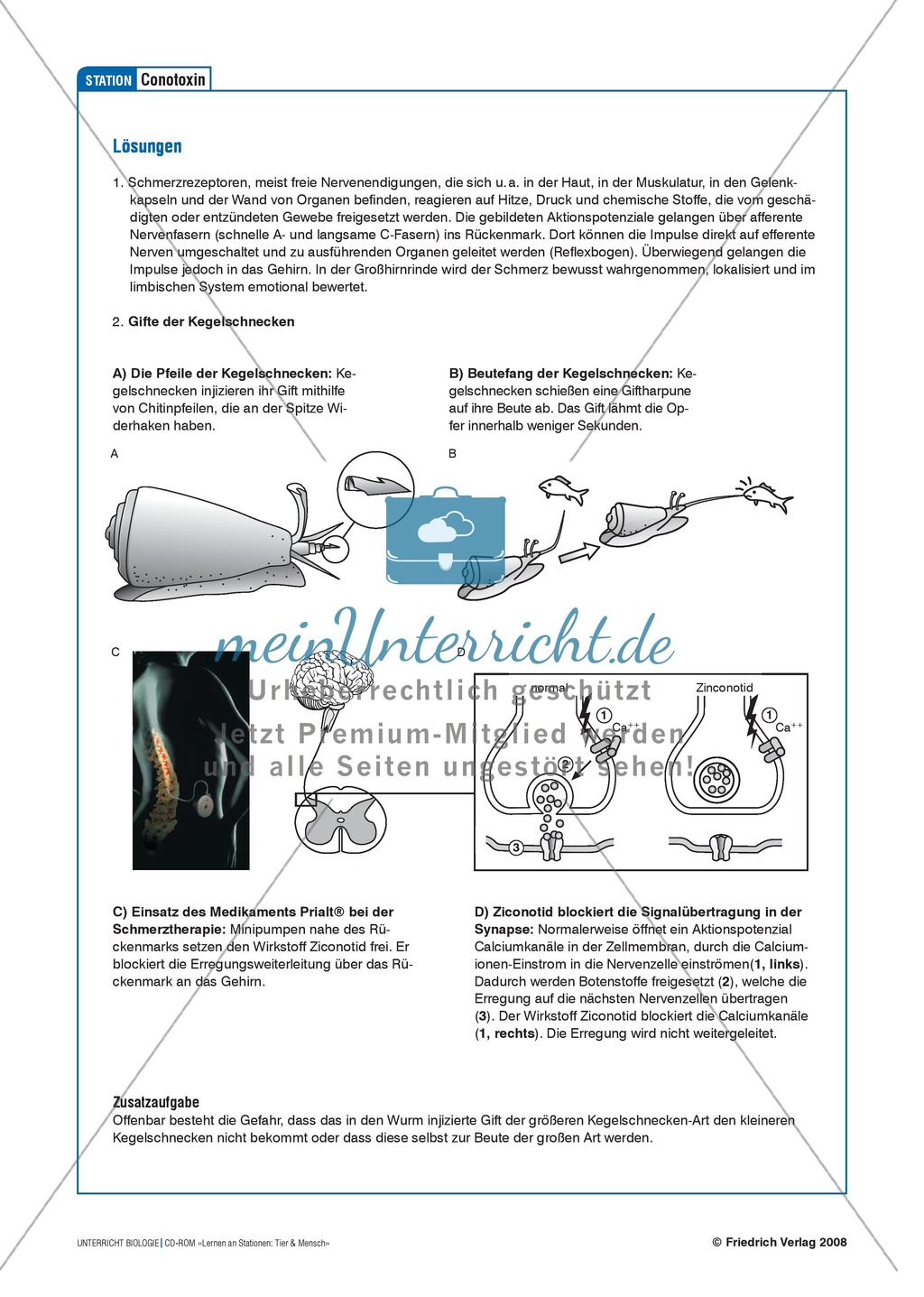 Tier und Mensch: Tierprodukte in Arzneimitteln Preview 8