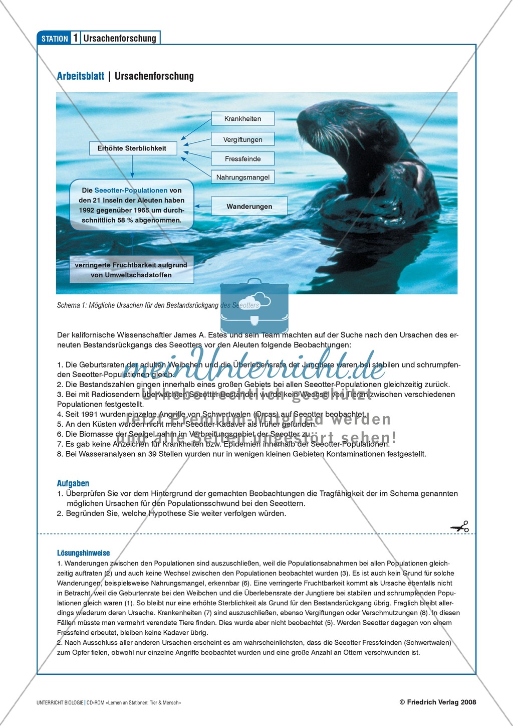 Tier und Mensch: Räuberische Übergriffe - Populationsregulation der Seeotter vor den Aleuten Preview 10