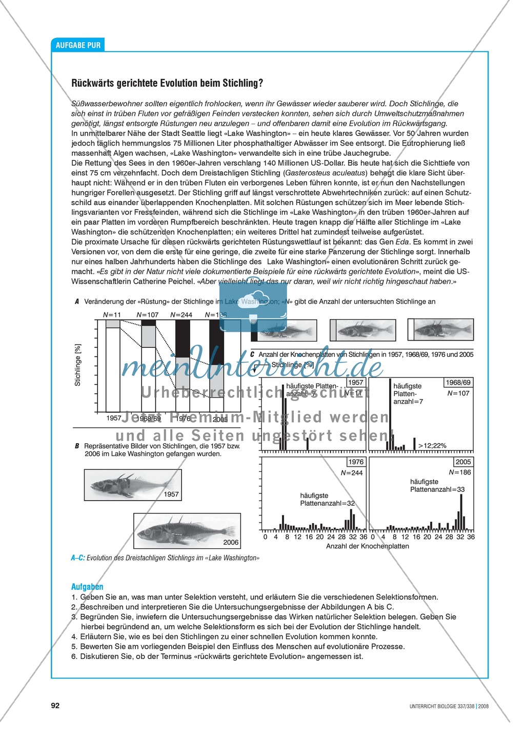 Tier und Mensch: Rückwärtsgerichtete Evolution beim Stichling Preview 1