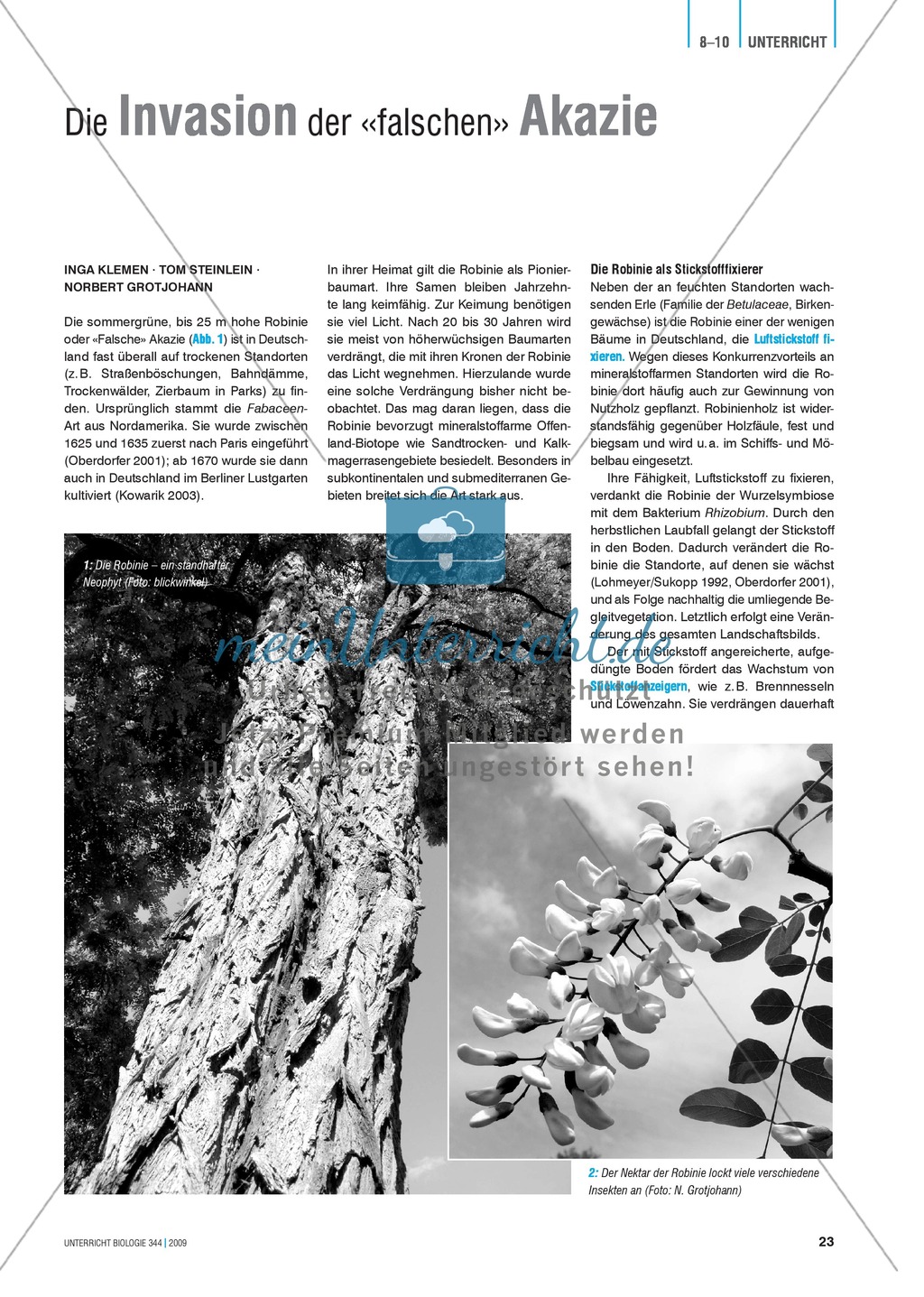 Neobiota: Die Ausbreitung der