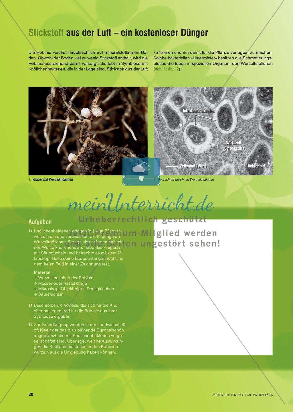 Neobiota: Die Ausbreitung der