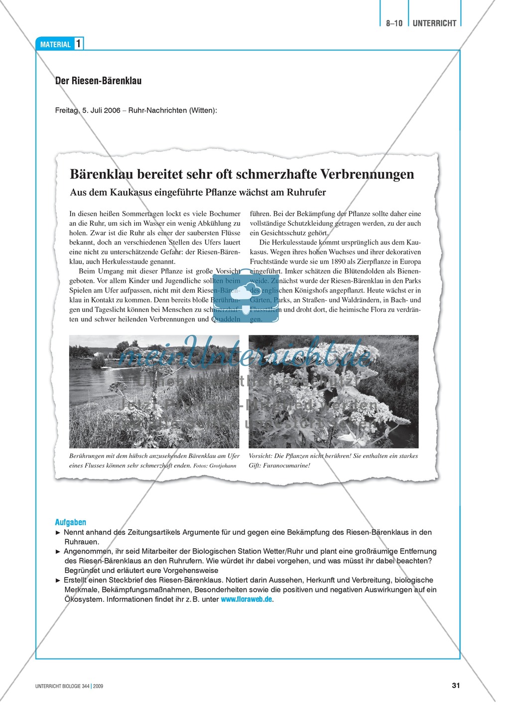 Neobiota: Die Anpassungs- und Verteidigungsmechanismen der Herkulesstaude erarbeiten und verstehen Preview 3