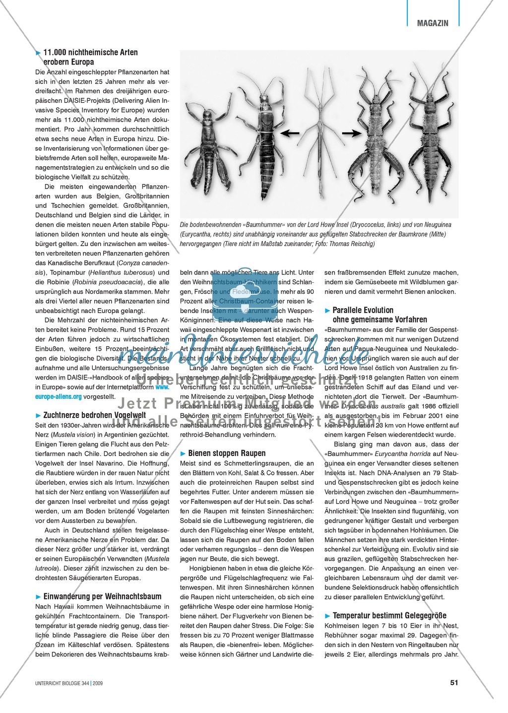 Nahrungsbeziehungen im Ökosystem See erarbeiten am Beispiel des Flathead Sees Preview 2