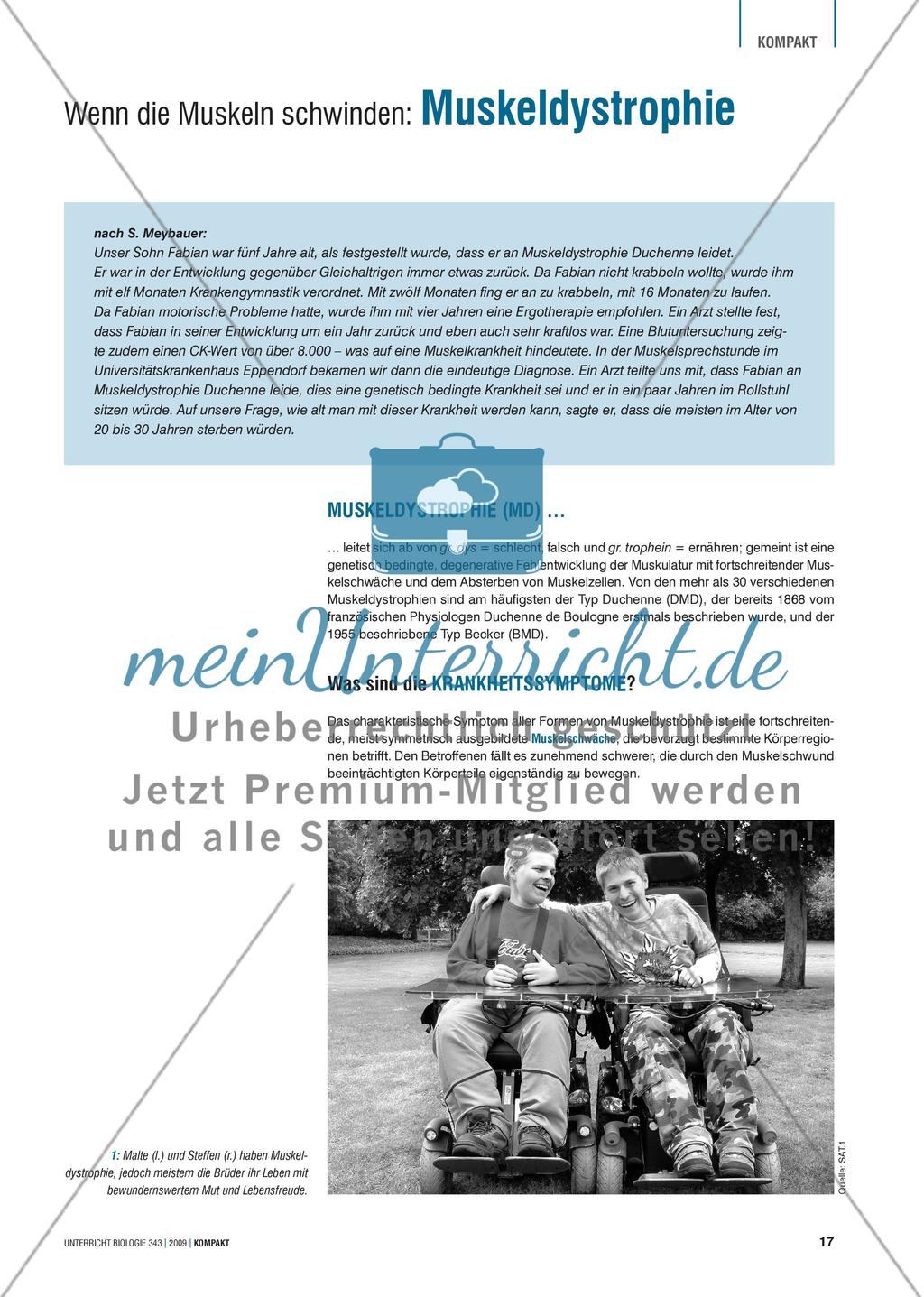 Genetik: Untersuchung erblich bedingter Erkrankungen der Muskulatur am Beispiel der Muskeldystrophie Preview 1