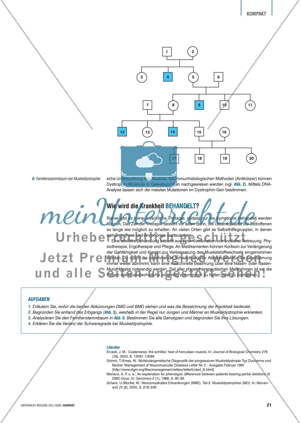 Genetik: Untersuchung erblich bedingter Erkrankungen der Muskulatur am Beispiel der Muskeldystrophie Preview 5