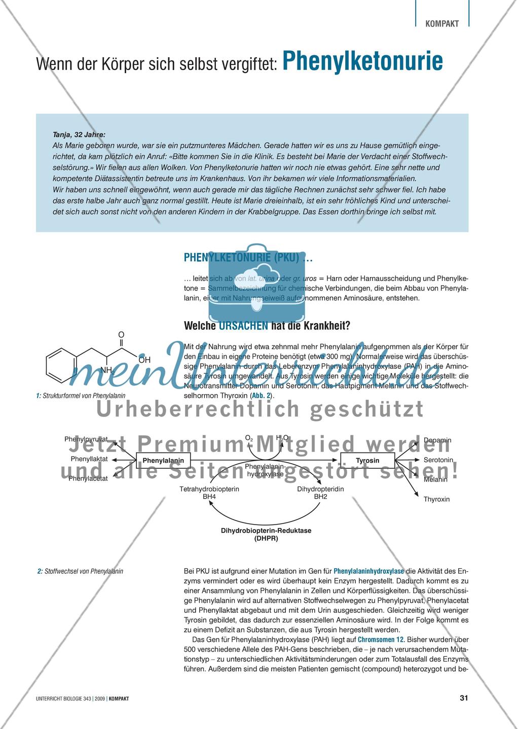 Genetik: Untersuchung erblich bedingter Erkrankungen der Leber am Beispiel der Phenylketonurie Preview 1