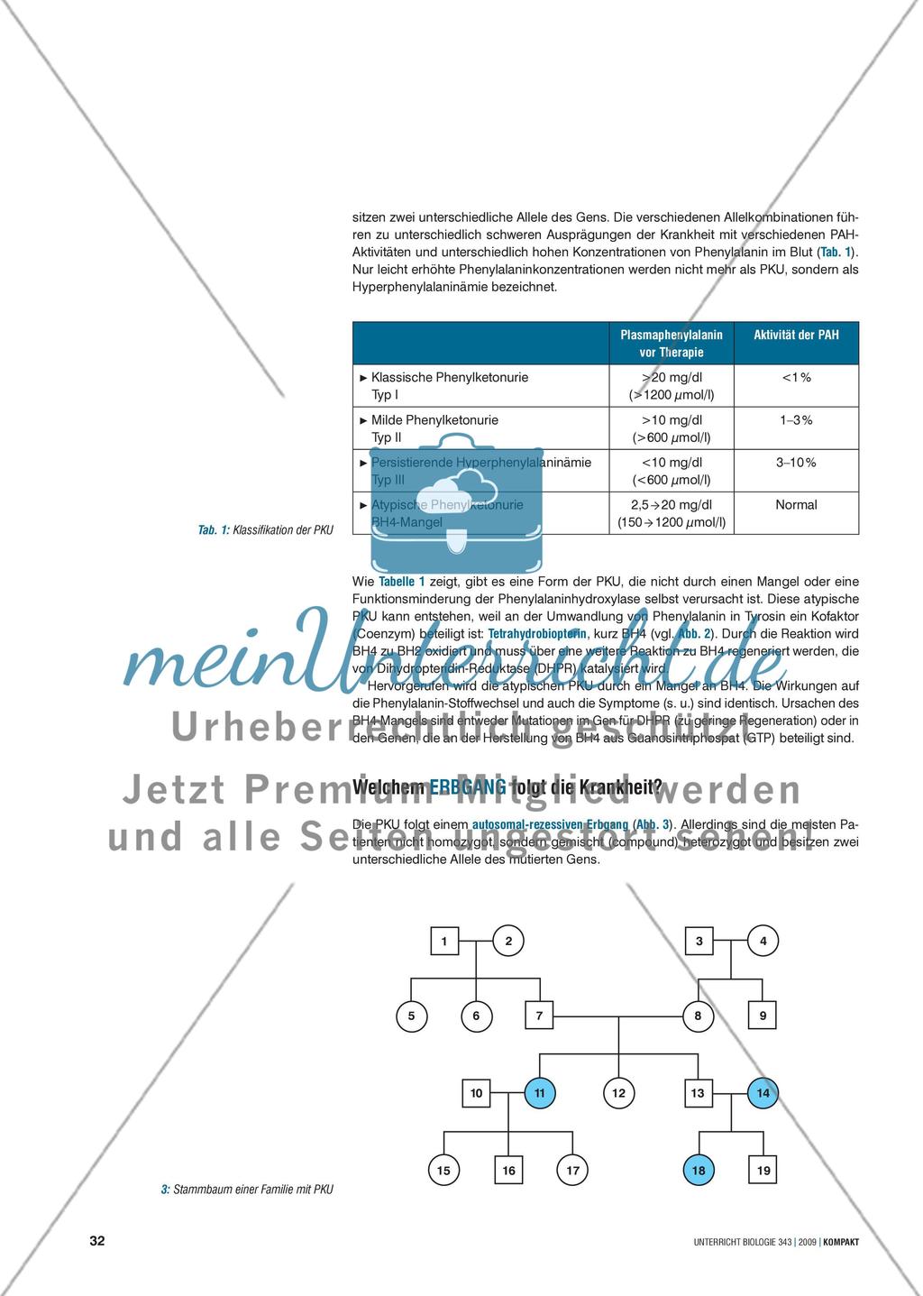 Genetik: Untersuchung erblich bedingter Erkrankungen der Leber am Beispiel der Phenylketonurie Preview 2