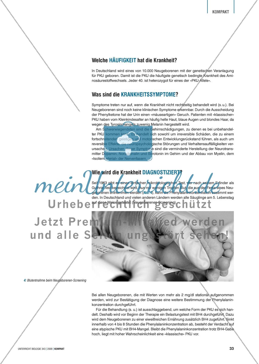 Genetik: Untersuchung erblich bedingter Erkrankungen der Leber am Beispiel der Phenylketonurie Preview 3