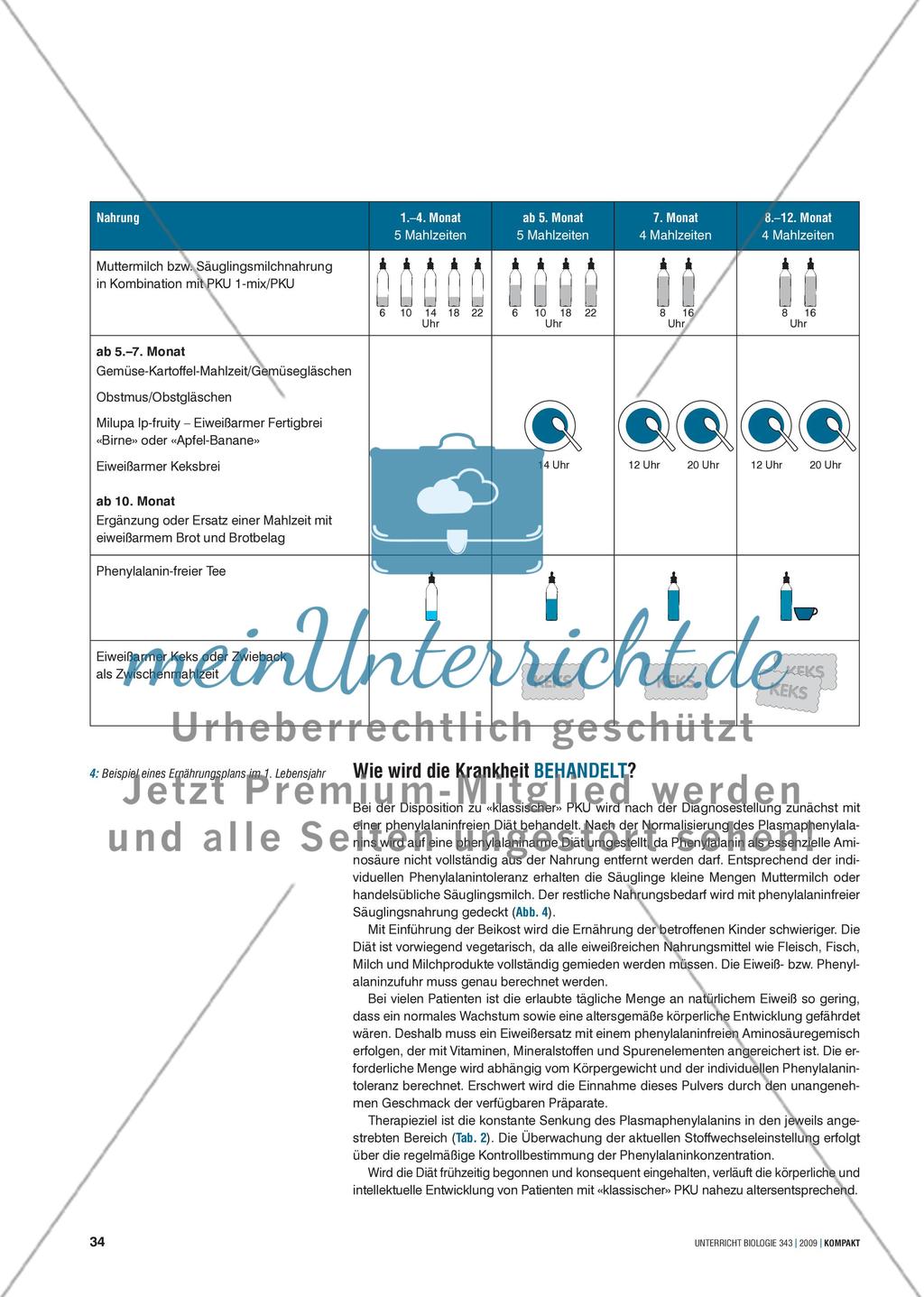 Genetik: Untersuchung erblich bedingter Erkrankungen der Leber am Beispiel der Phenylketonurie Preview 4
