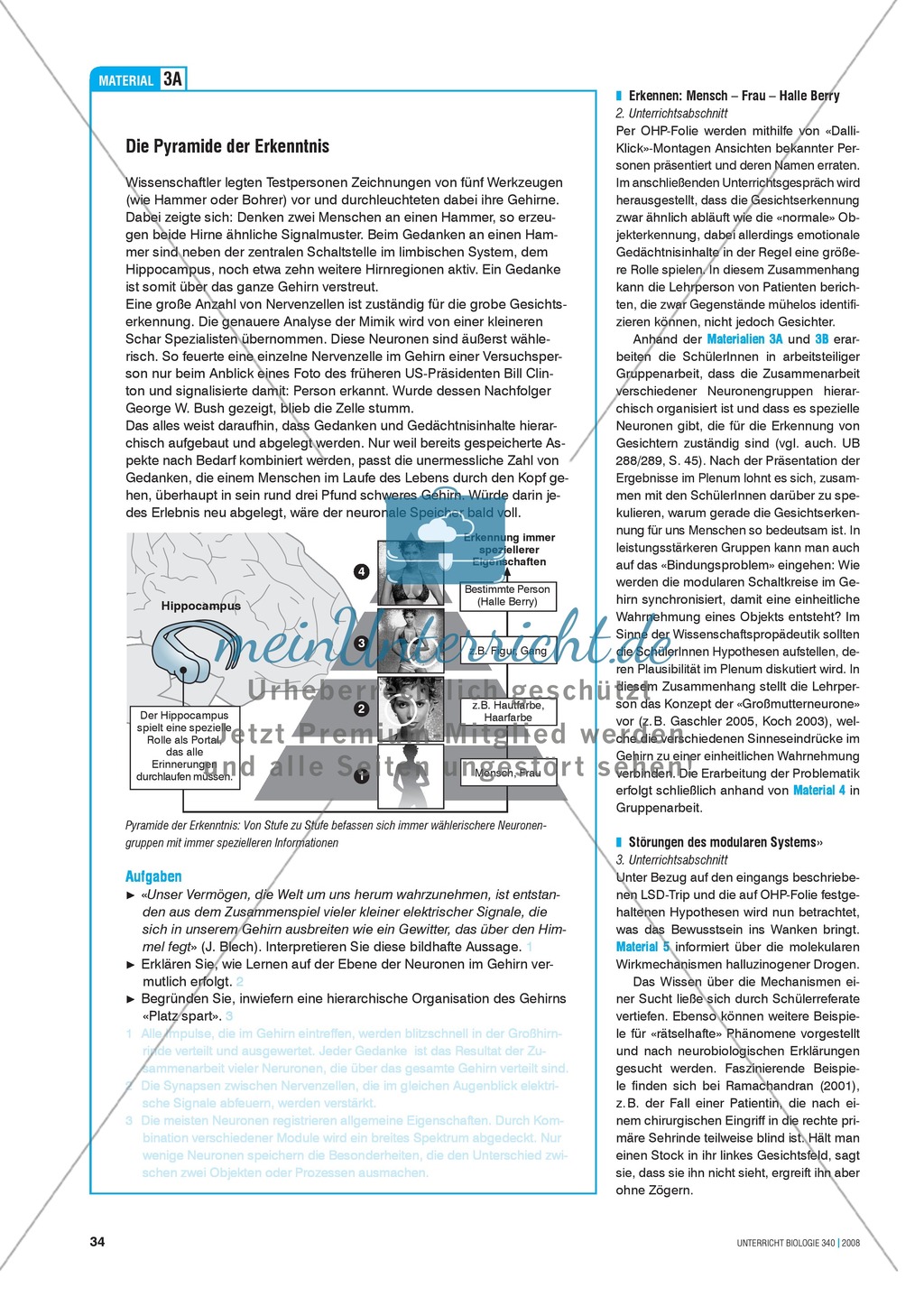 Kompartimentierung: Vernetzung im Gehirn - Gesichtserkennung durch Neuronen Preview 4
