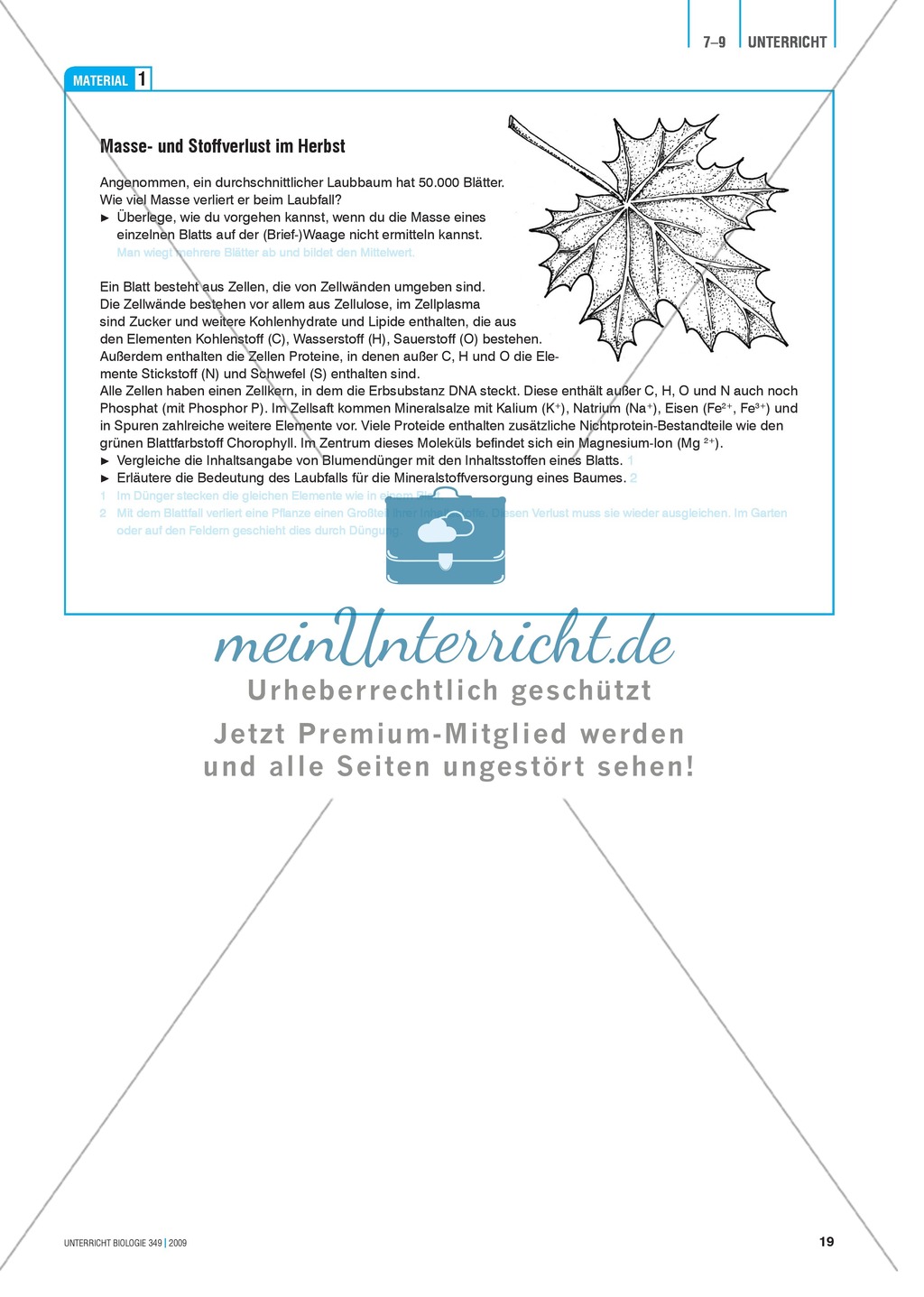 Recycling im Untergrund: Versuch und Gedankenexperiment zur Zersetzung verschiedener organischer Stoffe am Boden Preview 3