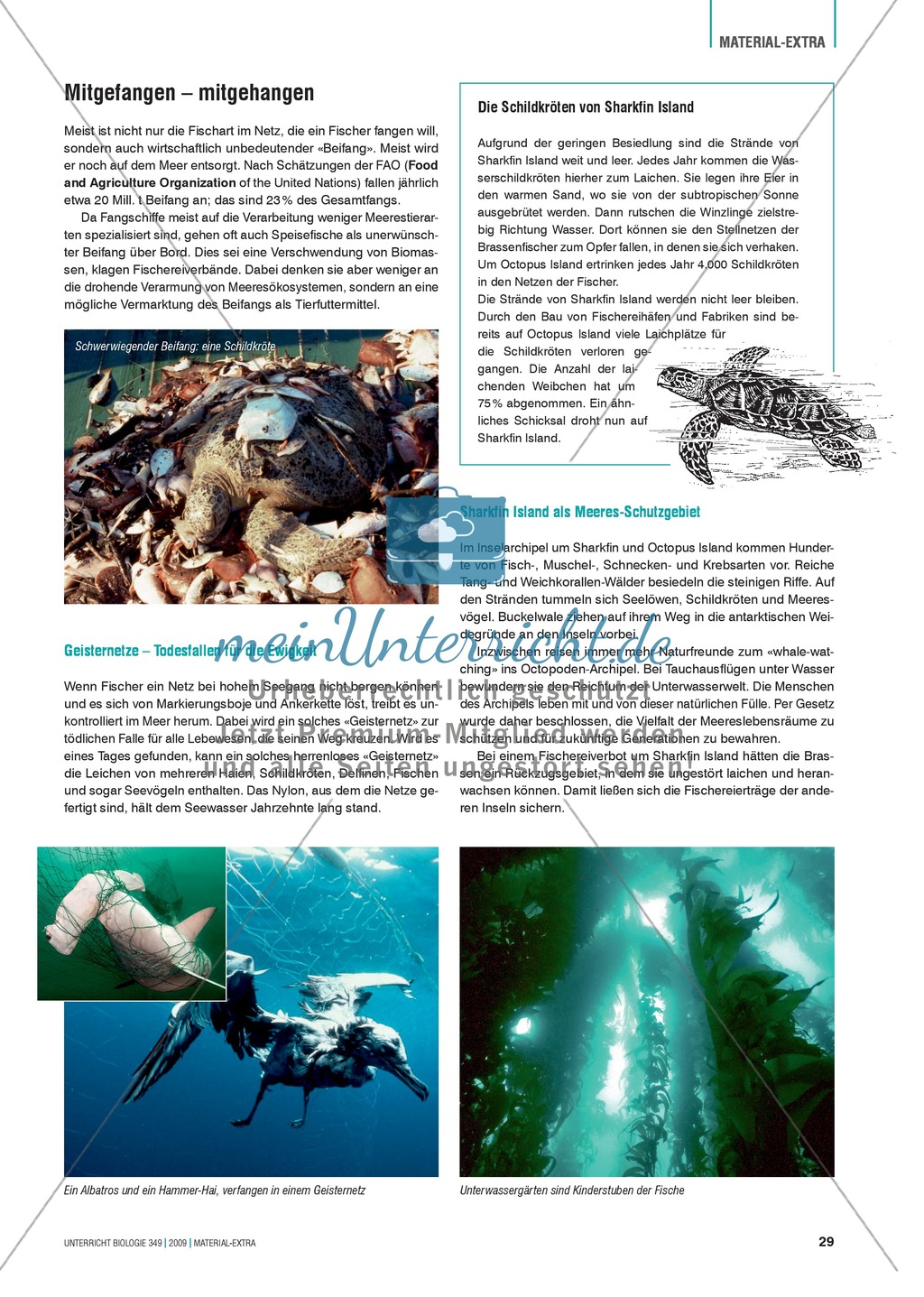 Stoff- und Energieflüsse in einem marinen Ökosystem entdecken und verstehen am Beispiel von Fischfang Preview 5