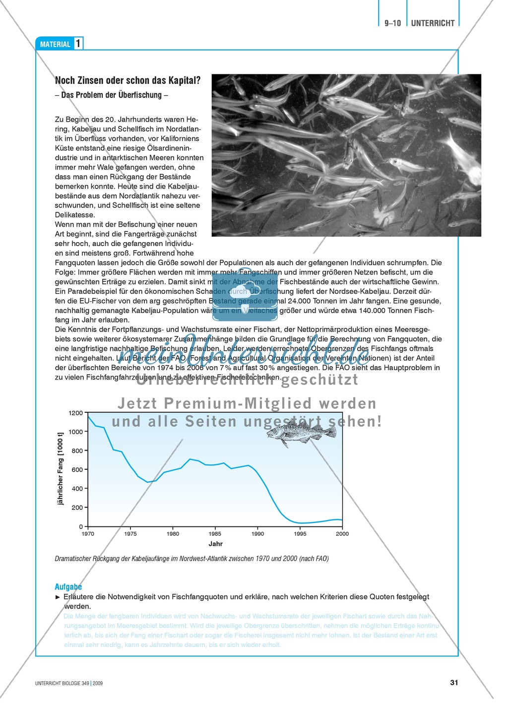Stoff- und Energieflüsse in einem marinen Ökosystem entdecken und verstehen am Beispiel von Fischfang Preview 7
