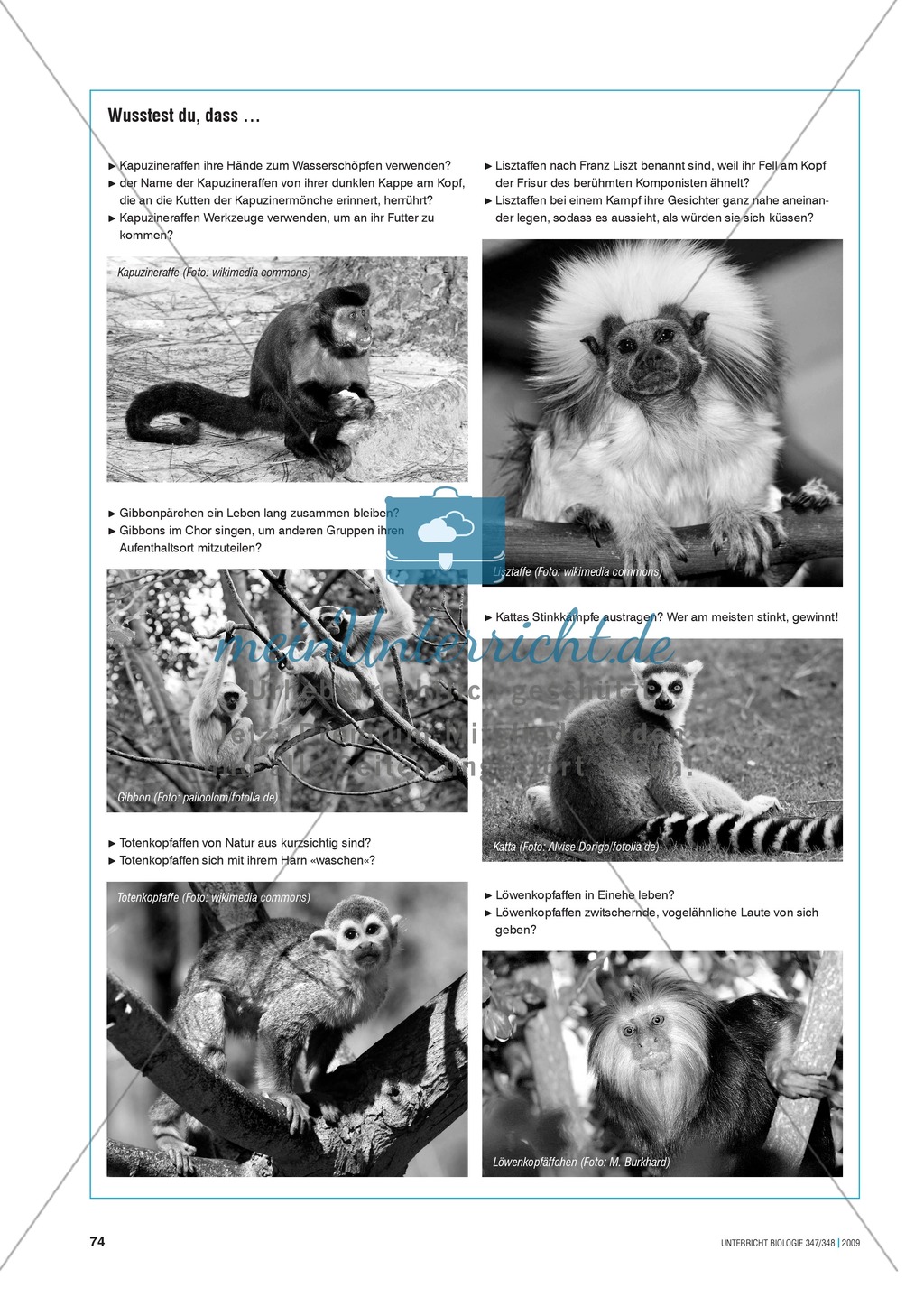 Lernen im Zoo: Hinweise zur Binnendifferenzierung mit Hilfe von PDAs und Keys Preview 2