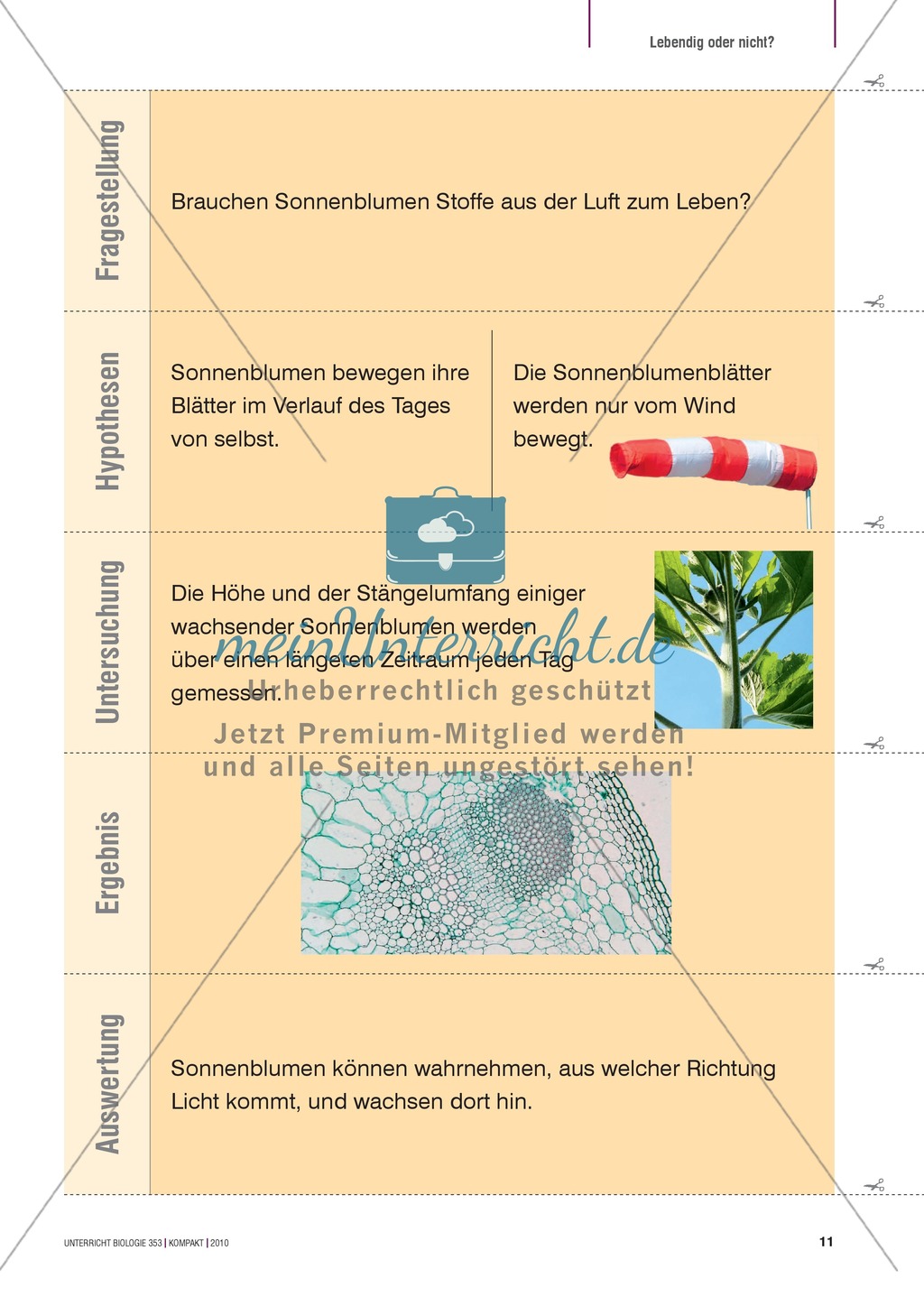 Kartenlegespiel zum naturwissenschaftlichen Forschen über die Eigenschaften verschiedener Lebewesen. Mit ausführlicher Anleitung Preview 10