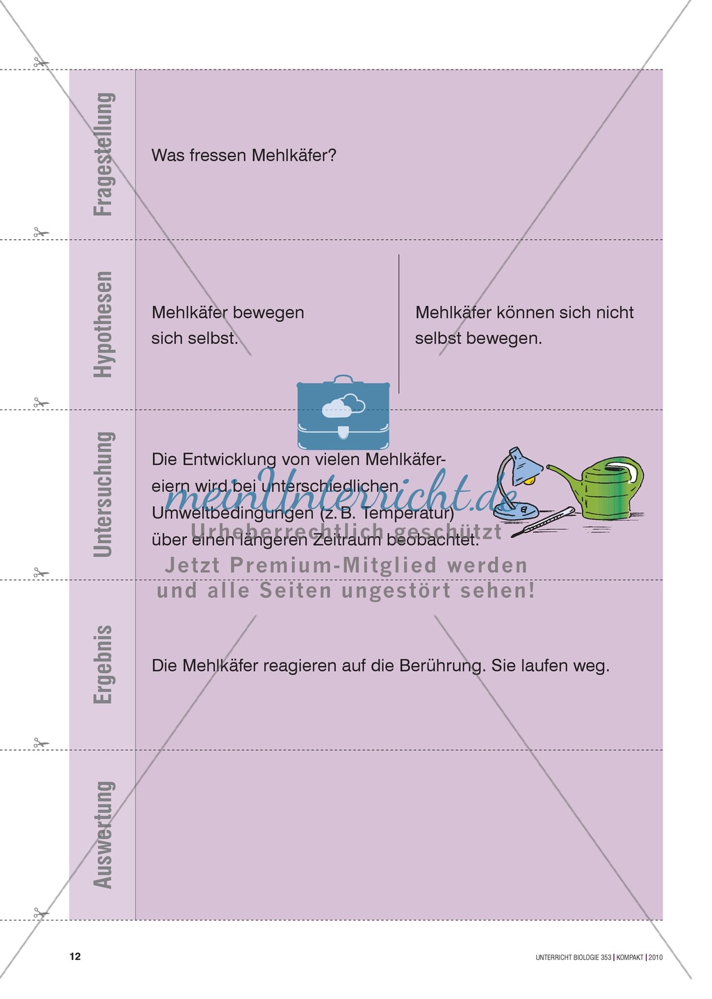 Kartenlegespiel zum naturwissenschaftlichen Forschen über die Eigenschaften verschiedener Lebewesen. Mit ausführlicher Anleitung Preview 11