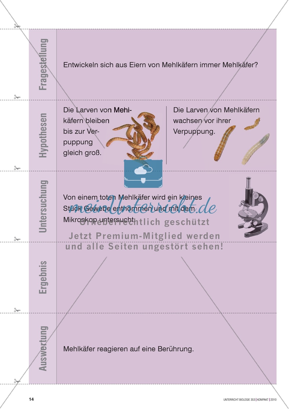 Kartenlegespiel zum naturwissenschaftlichen Forschen über die Eigenschaften verschiedener Lebewesen. Mit ausführlicher Anleitung Preview 13