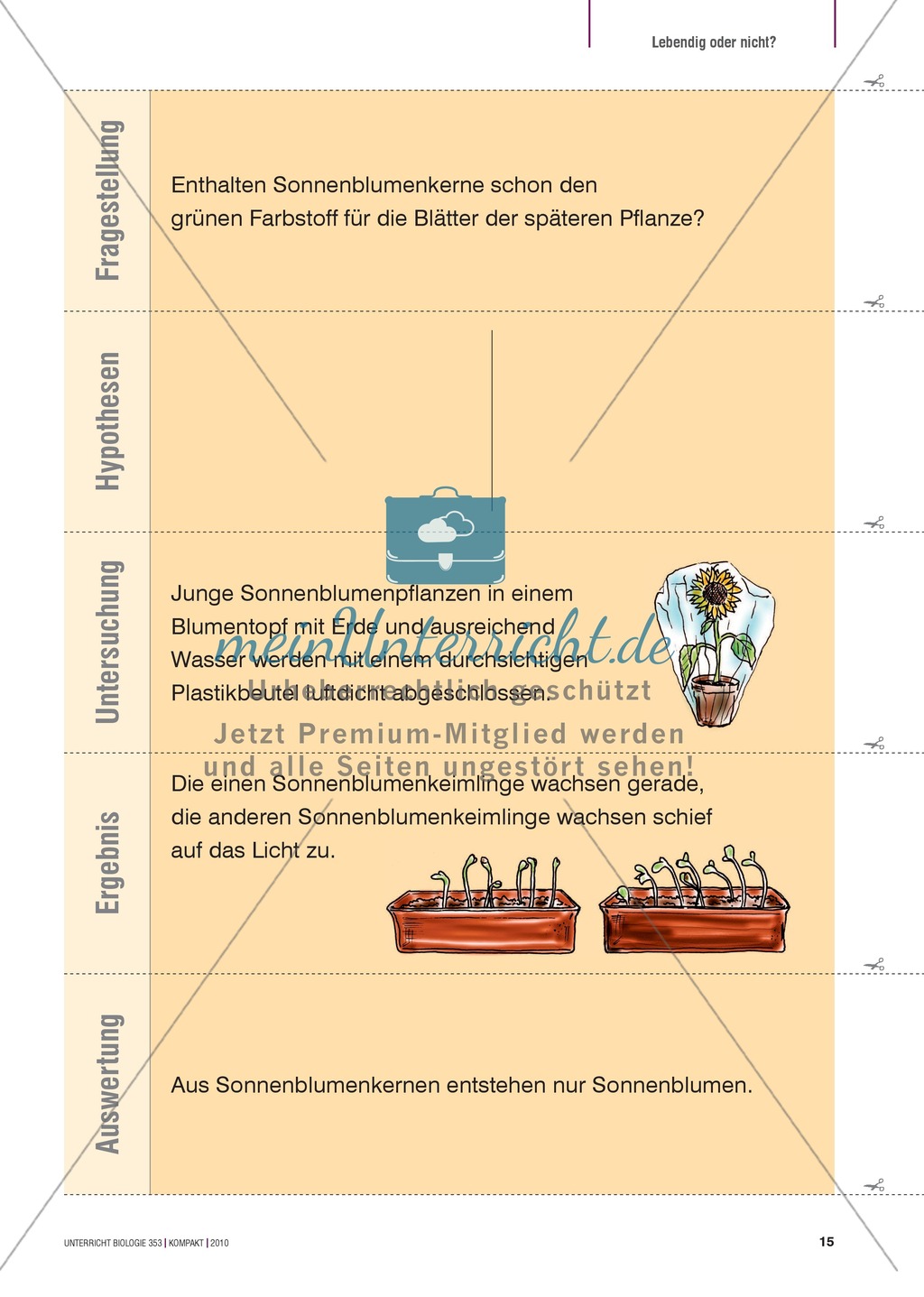 Kartenlegespiel zum naturwissenschaftlichen Forschen über die Eigenschaften verschiedener Lebewesen. Mit ausführlicher Anleitung Preview 14
