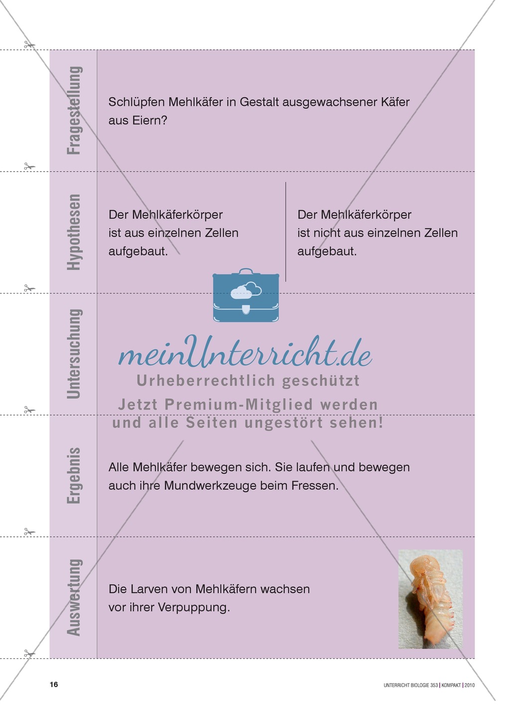 Kartenlegespiel zum naturwissenschaftlichen Forschen über die Eigenschaften verschiedener Lebewesen. Mit ausführlicher Anleitung Preview 15