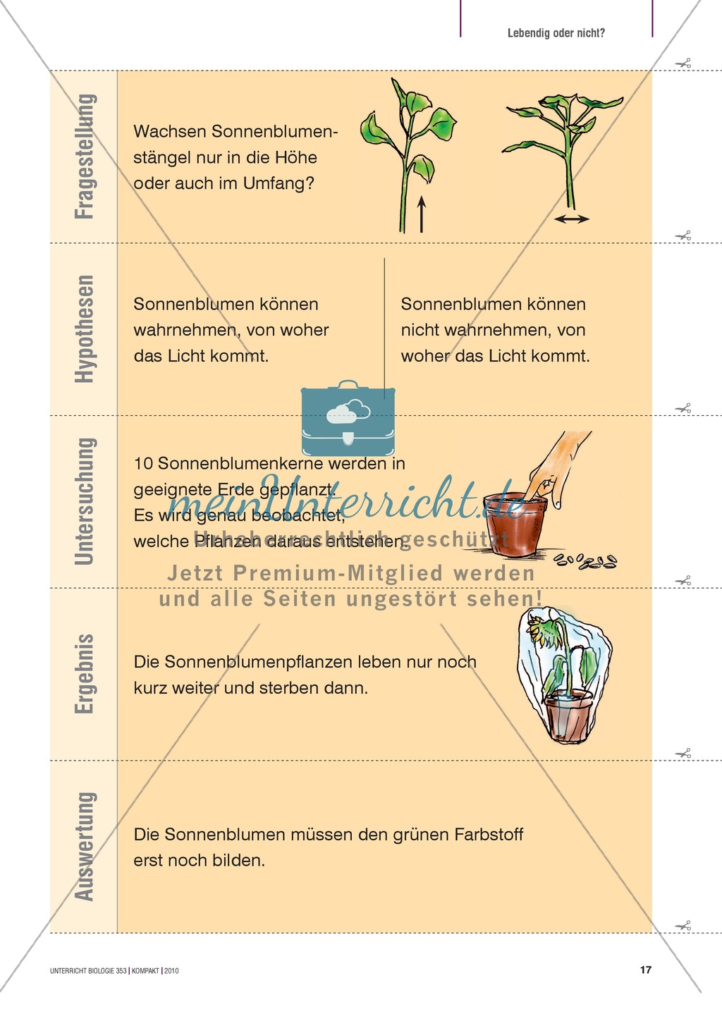 Kartenlegespiel zum naturwissenschaftlichen Forschen über die Eigenschaften verschiedener Lebewesen. Mit ausführlicher Anleitung Preview 16