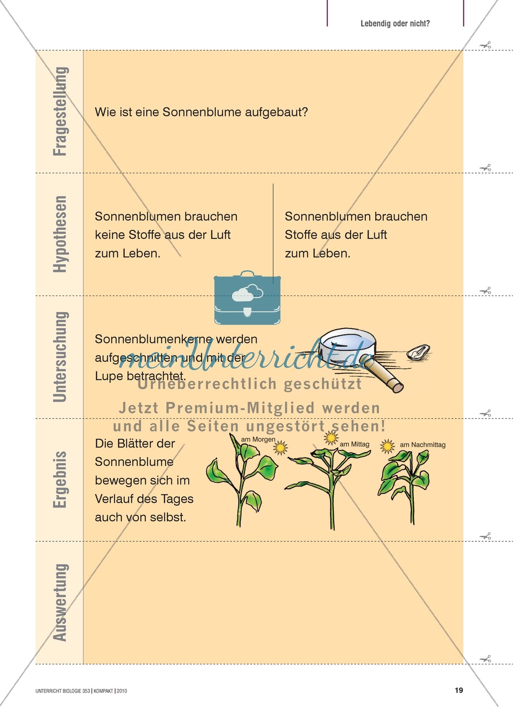 Kartenlegespiel zum naturwissenschaftlichen Forschen über die Eigenschaften verschiedener Lebewesen. Mit ausführlicher Anleitung Preview 18