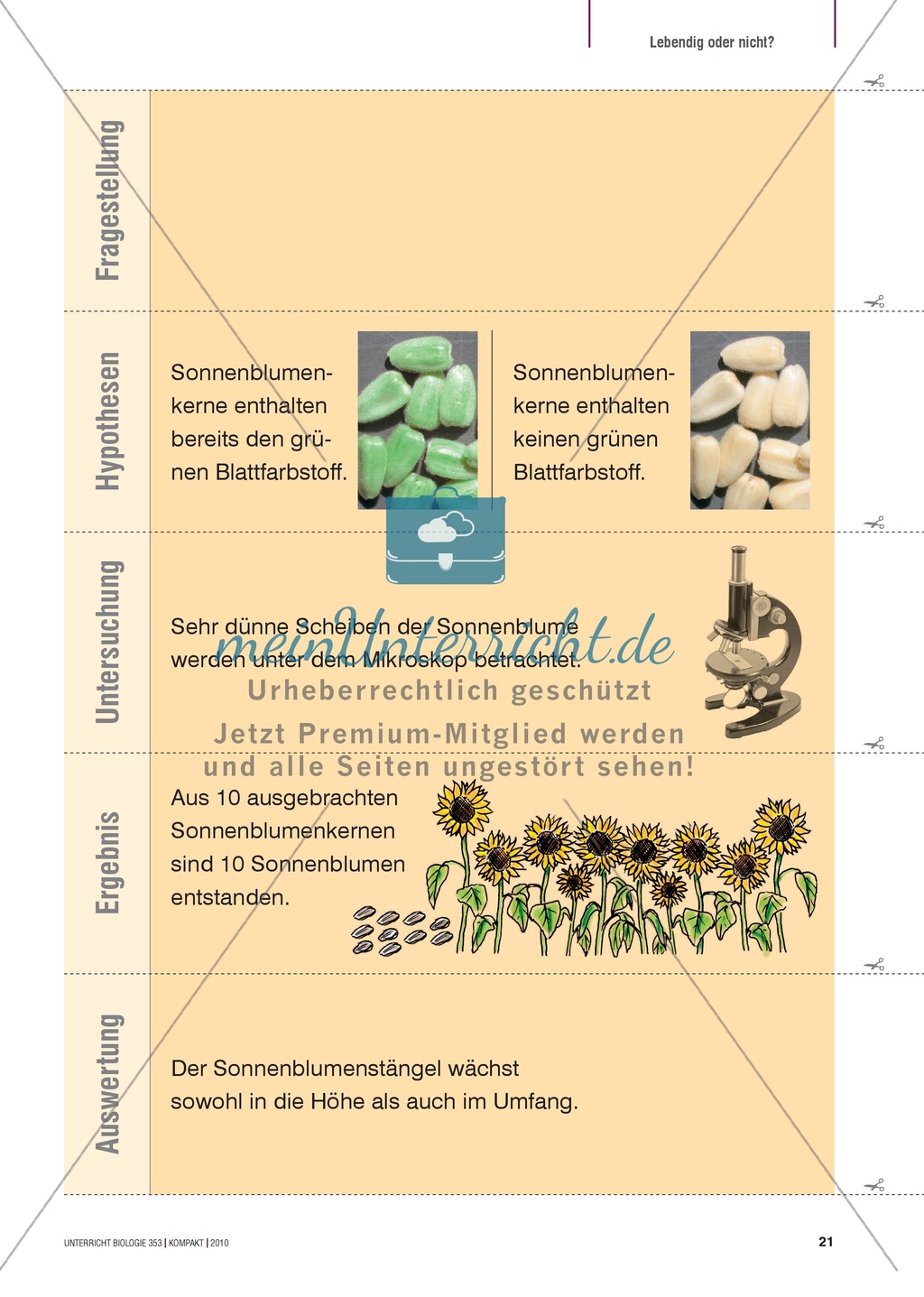 Kartenlegespiel zum naturwissenschaftlichen Forschen über die Eigenschaften verschiedener Lebewesen. Mit ausführlicher Anleitung Preview 20