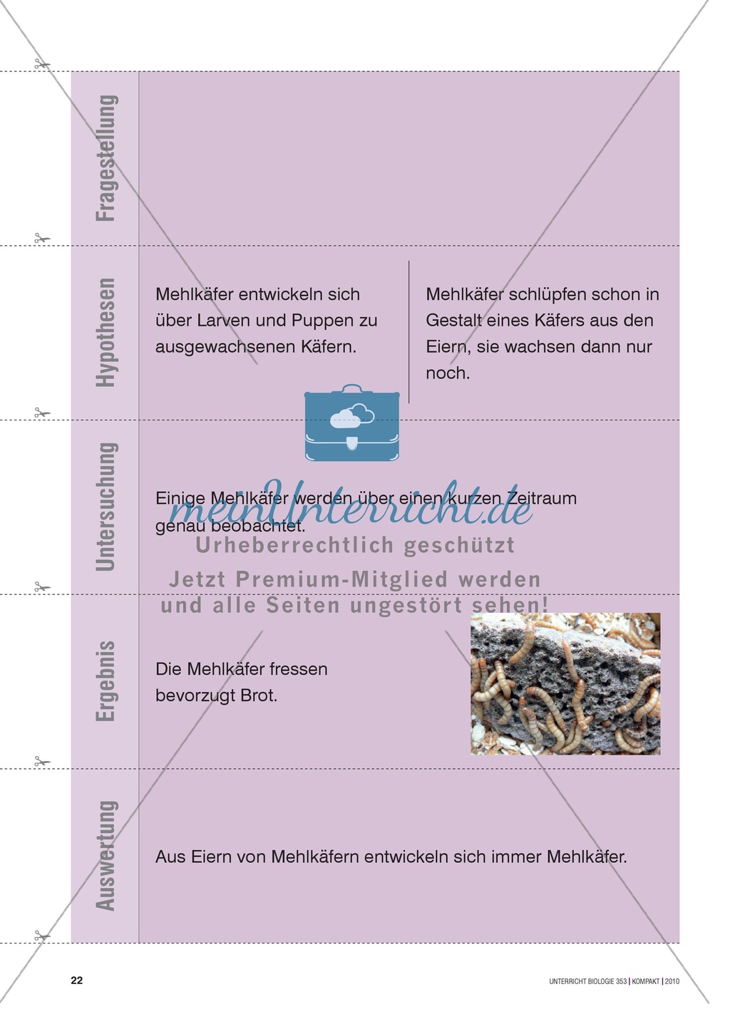 Kartenlegespiel zum naturwissenschaftlichen Forschen über die Eigenschaften verschiedener Lebewesen. Mit ausführlicher Anleitung Preview 21