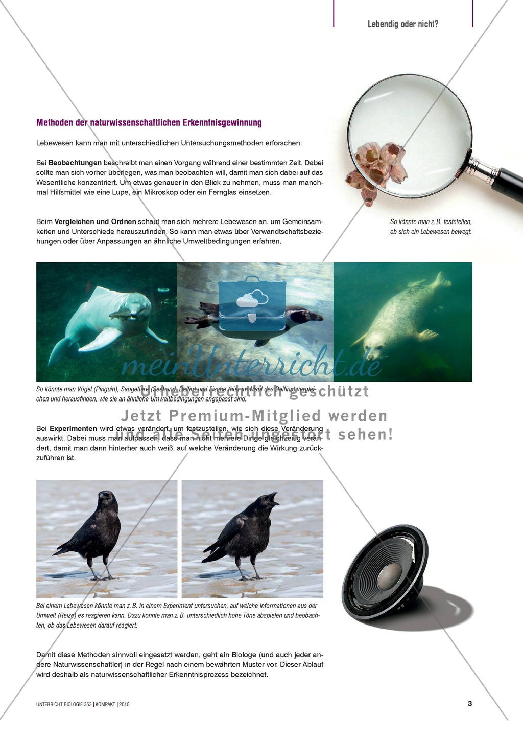Kartenlegespiel zum naturwissenschaftlichen Forschen über die Eigenschaften verschiedener Lebewesen. Mit ausführlicher Anleitung Preview 2