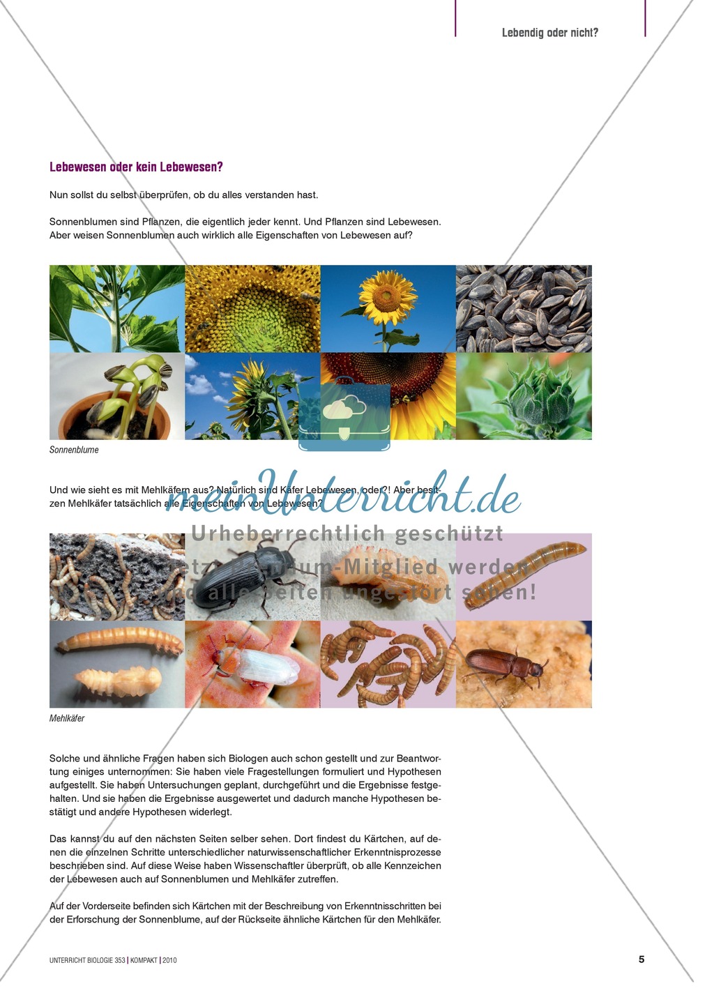 Kartenlegespiel zum naturwissenschaftlichen Forschen über die Eigenschaften verschiedener Lebewesen. Mit ausführlicher Anleitung Preview 4
