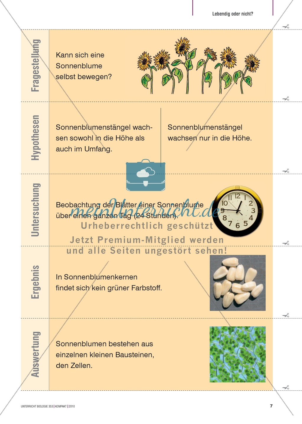 Kartenlegespiel zum naturwissenschaftlichen Forschen über die Eigenschaften verschiedener Lebewesen. Mit ausführlicher Anleitung Preview 6
