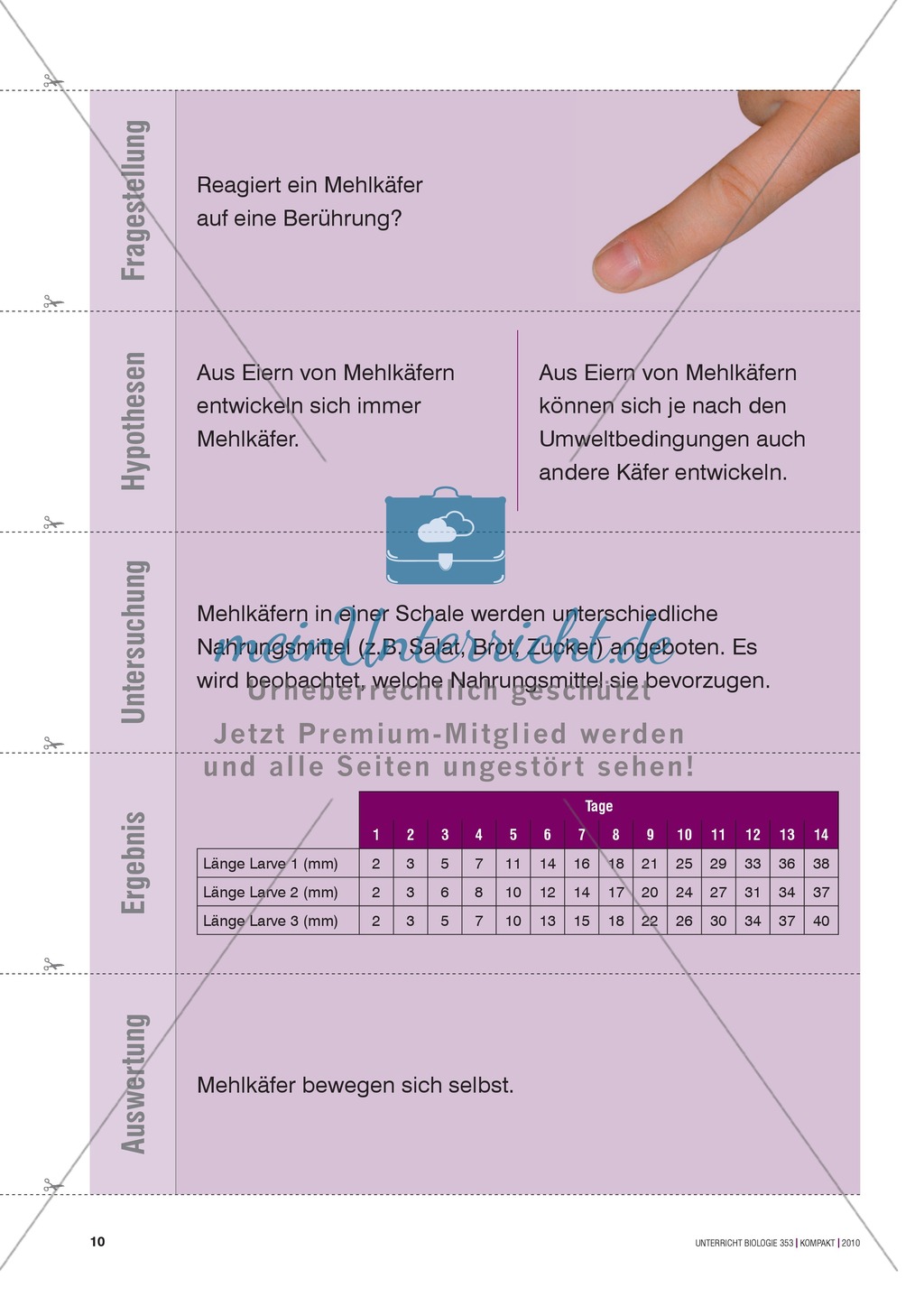 Kartenlegespiel zum naturwissenschaftlichen Forschen über die Eigenschaften verschiedener Lebewesen. Mit ausführlicher Anleitung Preview 9