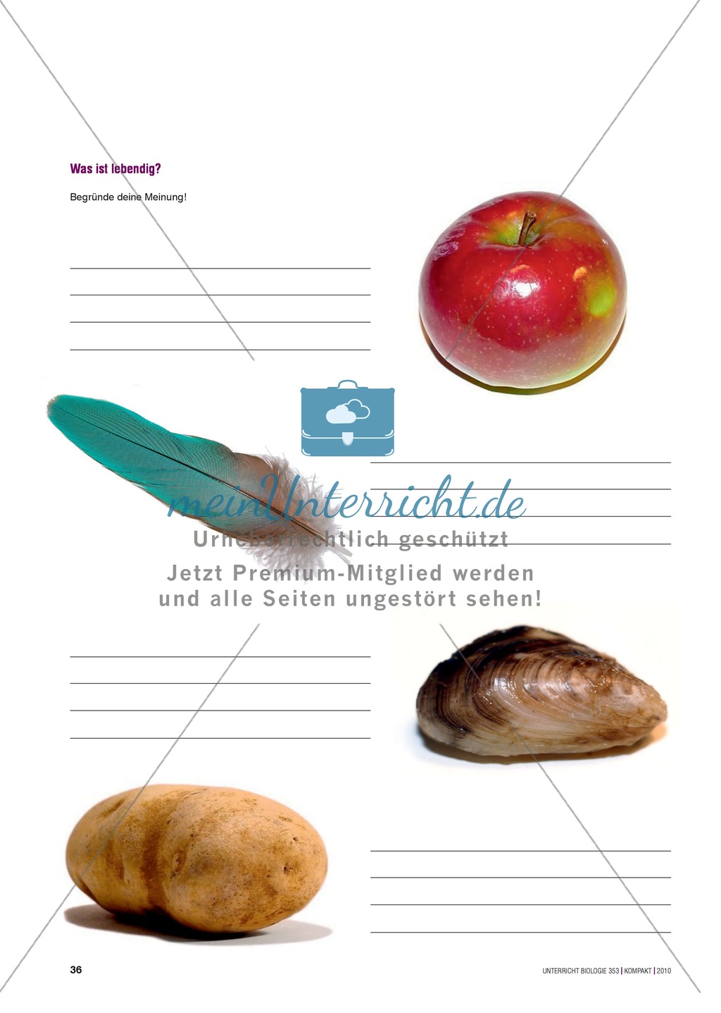Lebewesen erforschen: Vier durchführbare Forschungsprojekte zu den Eigenschaften der Bohne Preview 6