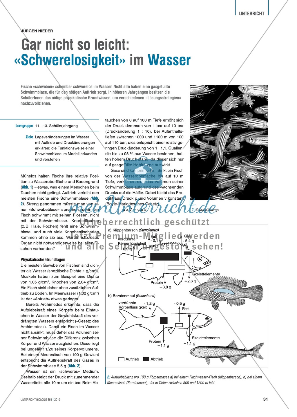 Die Funktionsweise der Schwimmblase im Modell erkunden und verstehen: Preview 1