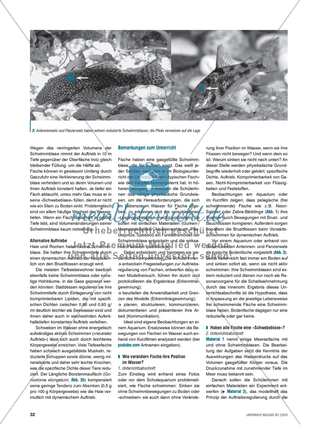 Die Funktionsweise der Schwimmblase im Modell erkunden und verstehen: Preview 2