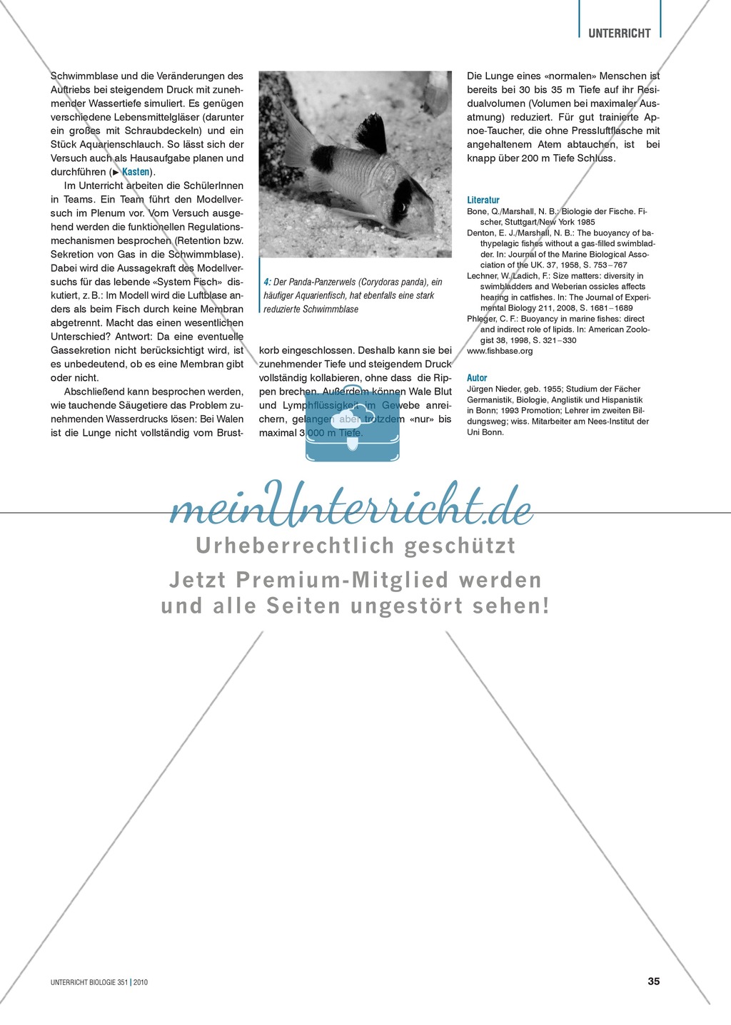 Die Funktionsweise der Schwimmblase im Modell erkunden und verstehen: Preview 5