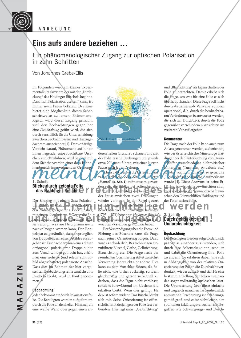 Eins aufs andere beziehen ... - Ein phänomenologischer Zugang zur optischen Polarisation in zehn Schritten Preview 1