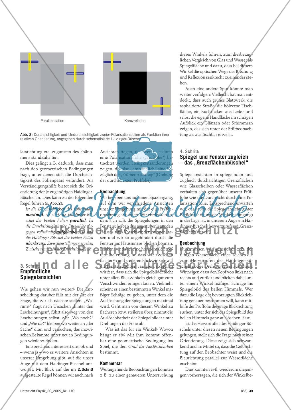 Eins aufs andere beziehen ... - Ein phänomenologischer Zugang zur optischen Polarisation in zehn Schritten Preview 2