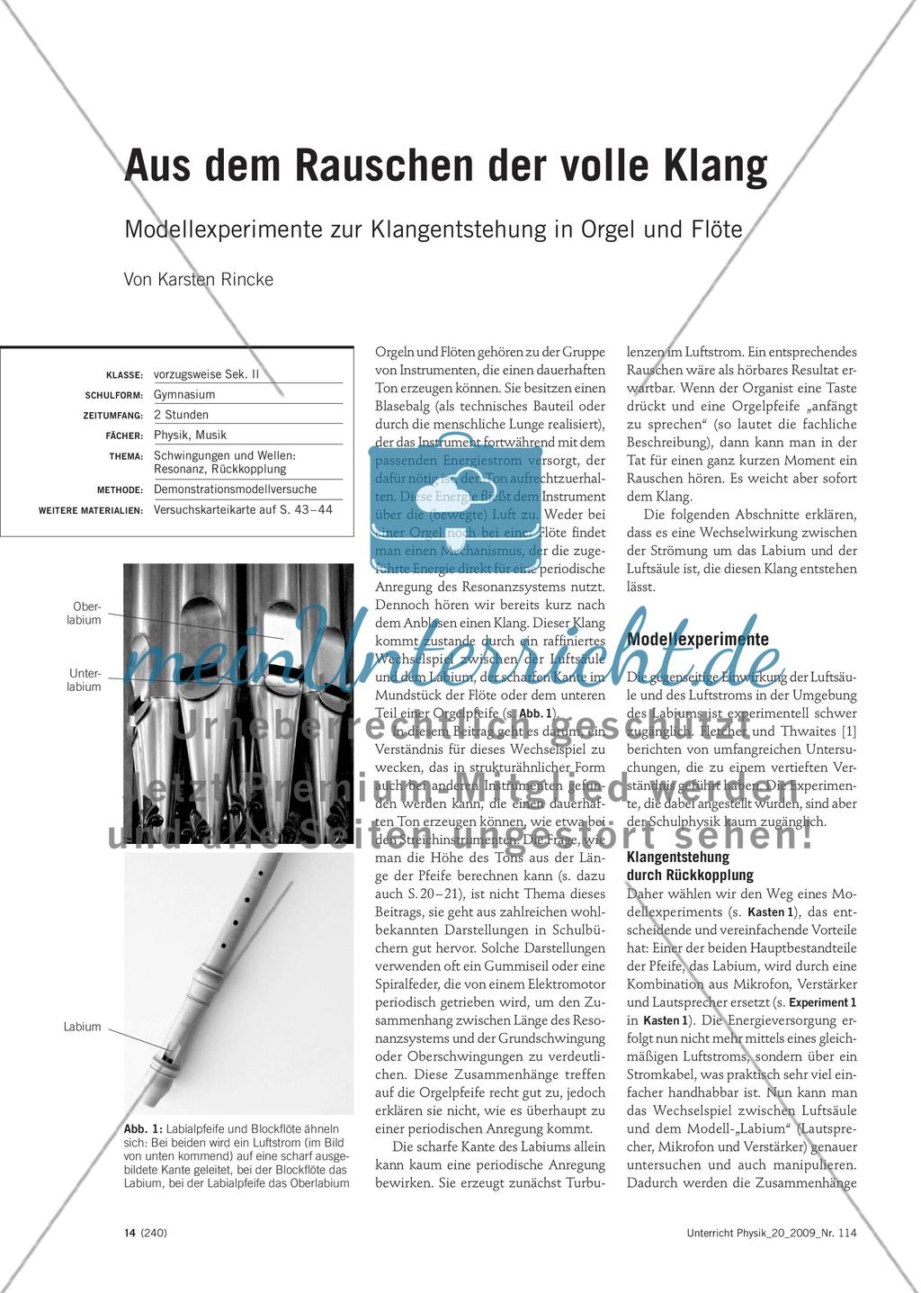Aus dem Rauschen der volle Klang - Modellexperimente zur Klangentstehung in Orgel und Flöte Preview 1